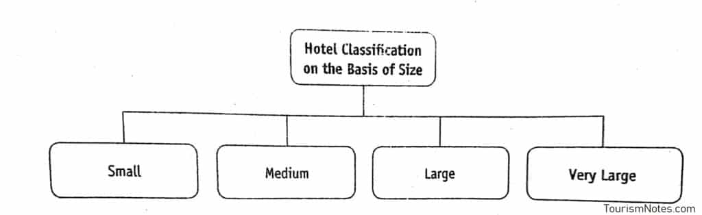 Classification On the Basis of Size