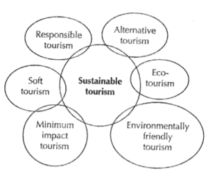 Relationship between sustainable tourism and other terms.